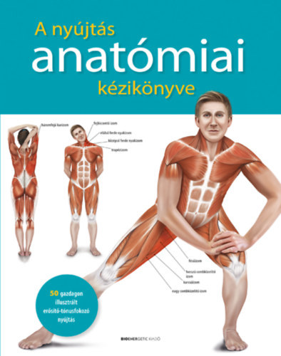 A nyújtás anatómiai kézikönyve - Kolektív autorov
