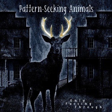 Pattern-Seeking Animals - Only Passing Through 2LP+CD