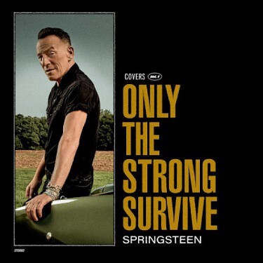 Springsteen Bruce - Only The Strong Survive CD