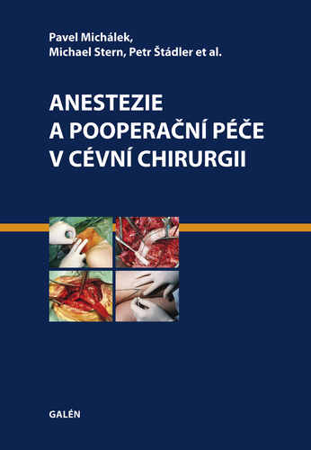 Anestezie a pooperační péče v cévní chirurgii - Pavel Michálek,Stern Joshua Michael,Petr Štádler