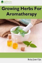 Growing Herbs For Aromatherapy - Jose Ciiju Roby