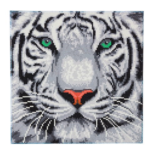Craft Buddy Obraz Biely tiger (30x30 cm) vykladanie z diamantov