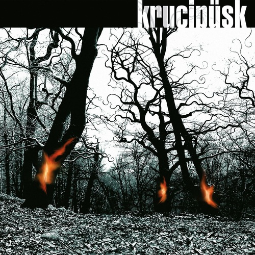 Krucipüsk - Druide (20th Anniversary Remaster) LP