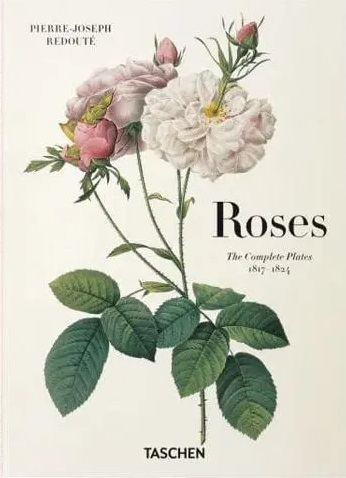 Redouté - Roses - Pierre-Joseph Redouté