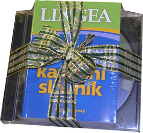 Anglický knižní kapesní slovník + CD
