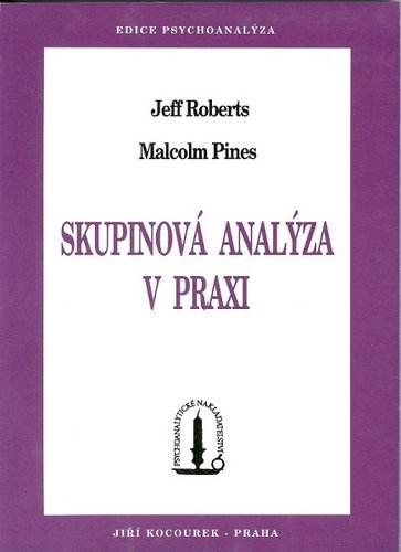 Skupinová analýza v praxi