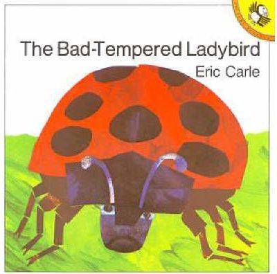 Bad-tempered Ladybird
