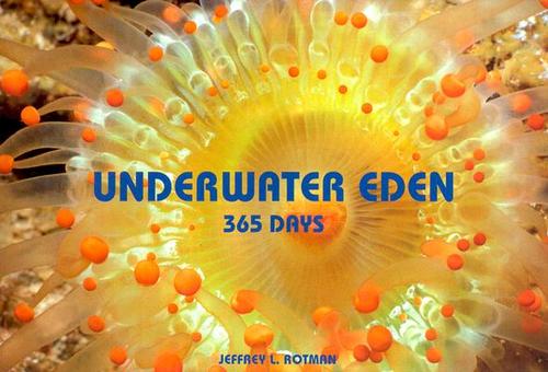 Underwater Eden 365 Days