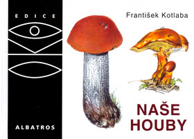 Naše houby