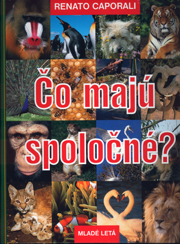 Kniha Čo majú spoločné?