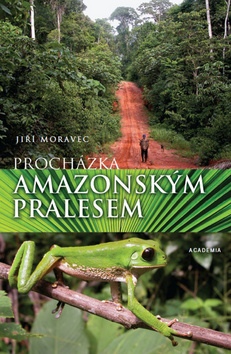 Procházka amazonským pralesem