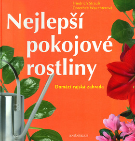 Nejlepší pokojové rostliny