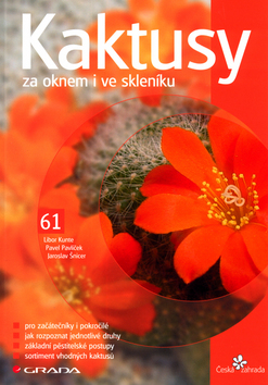 Kaktusy za oknem i ve skleníku