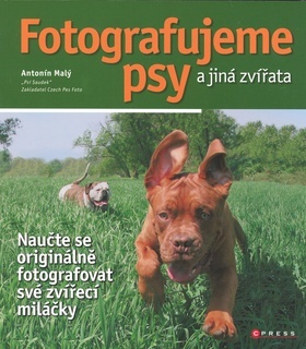Fotografujeme psy