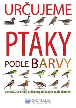 Určujeme ptáky podle barvy