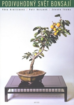 Podivuhodný svět bonsají kúpite na Panta Rhei