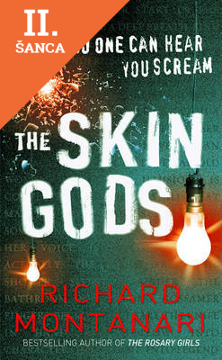 Lacná kniha The Skin Gods