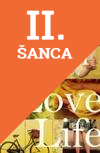 Lacná kniha Love Life