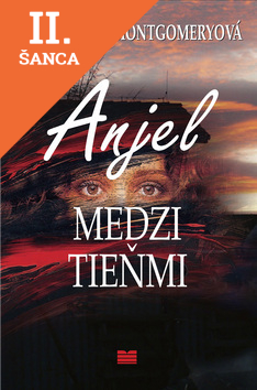Lacná kniha Anjel medzi tieňmi