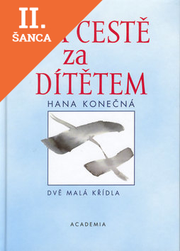 Lacná kniha Na cestě za dítětem