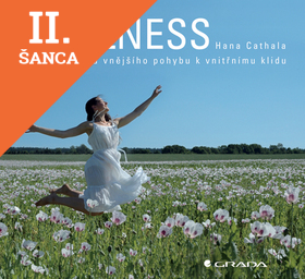 Lacná kniha Wellness