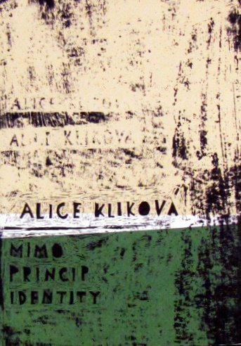 Mimo princip identity