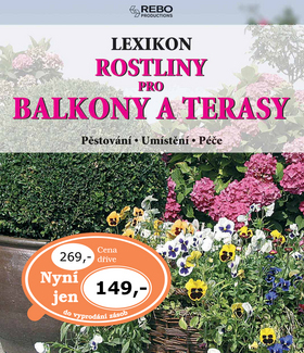 Rostliny pro balkony a terasy