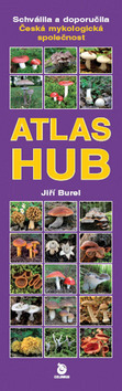 Atlas hub
