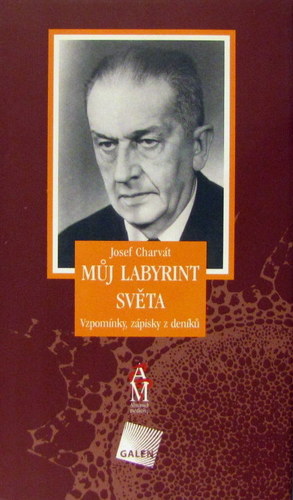 Můj labyrint světa