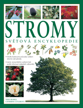 Stromy