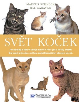 Svět koček