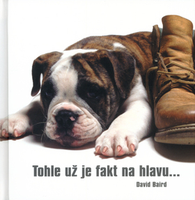 Kniha Tohle už je fakt na hlavu - David Baird