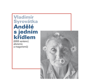 Kniha Andělé s jedním křídlem - Vladimír Syrovátka