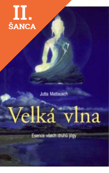Lacná kniha Velká vlna