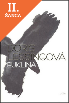 Lacná kniha Puklina