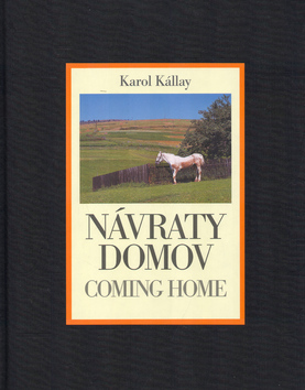 Návraty domov - Karol Kállay