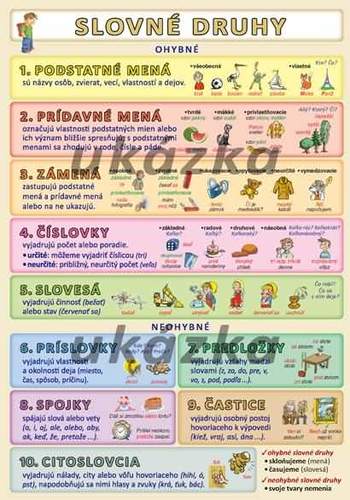 Kniha Slovné druhy