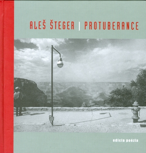 Kniha Protuberance - Aleš Šteger,neuvedený
