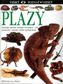 Plazy