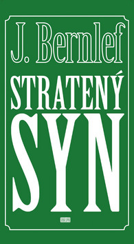 Kniha Stratený syn - J. Bernlef