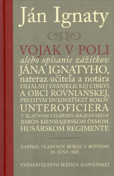 Vojak v poli