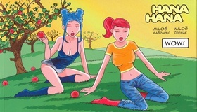 Kniha Hana, Hana 4 - WOW!