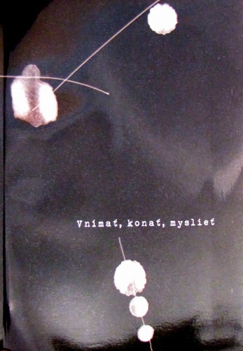 Kniha Vnímať, konať, myslieť