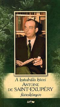 A katedrális kövei