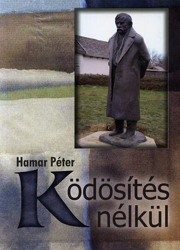 Ködösítés nélkül - Péter Hamar