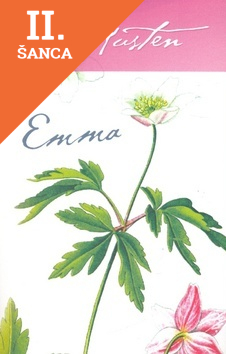 Lacná kniha Emma