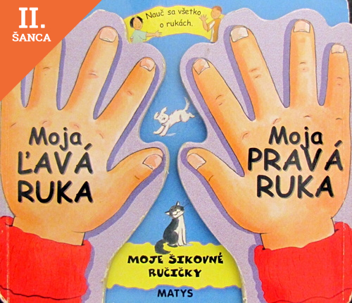 Lacná kniha Moje šikovné ručičky