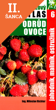 Lacná kniha Jahodník, maliník, ostružiník