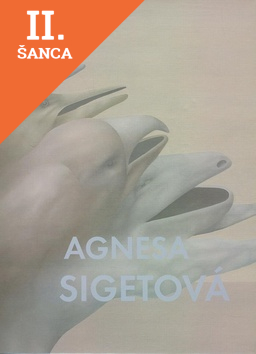 Lacná kniha Agnesa Sigetová