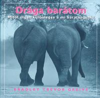 Kniha Drága barátom - Bradley Trevor Greive